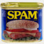 SPAM