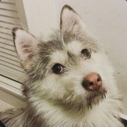 更新一次懵B一次