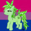 Stoney Pony