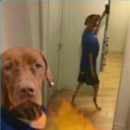 sanguchitodemilanesa