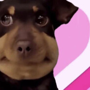 我真的好喜欢你啊