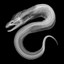 [rainbow] Eel