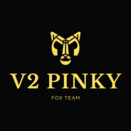 V2 PINKY