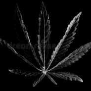 𝕄𝕣𝕖𝕟𝕫𝕚