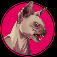 skincat1