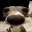 я талант's avatar