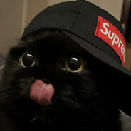 VeliPehmee's avatar