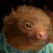 EdwardTheSloth