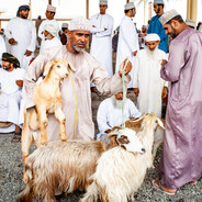 سترايك: جلوبال أ