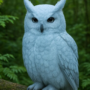 IceOwl's Avatar