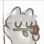 BYD小力王