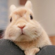 好家伙~我直呼好家伙