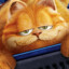 Garfield