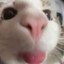 Herman_