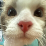 咔嚓咔嚓小火车