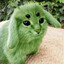 cabbit