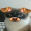//////////////////////////