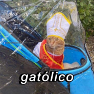 Gatolico