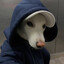 Tom