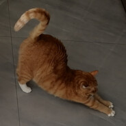 爱撅莉贝塔的瑞亚那/人前脸盆怪屠前蘑菇精