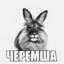 Чешуйка Геннадий