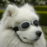 $kous's avatar