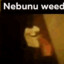 nebunu weed