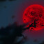 DEV0RK