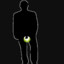 Testicular Underglow