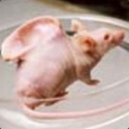 frankenmouse avatar