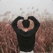 我的智商八岁半i