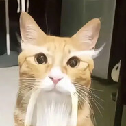 哈基仙人[幻影哈气]