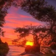 你要来靶场看我击靶么