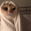 Kat_eem