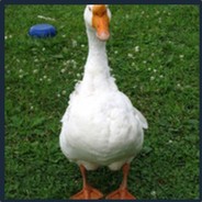 Апасный Гусь