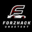 ForZHack