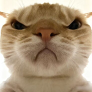 哈基米南北绿豆