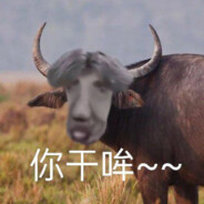 披金成王，伴鯤遠航