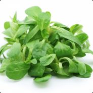 slahond - steam id 76561197971738325