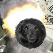 Missile_Bear