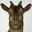 The Goat avatar