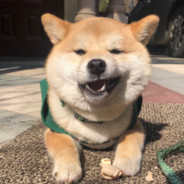 打游戏不带耳机