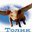 tolik_krytoy