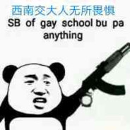 电脑玩家张大坝