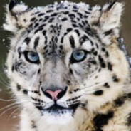 马嘉祺超绝瞄准