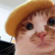 王总的贴身校花