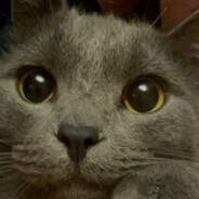 GRUshka - steam id 76561199063581132