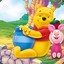 Winnie Pooh