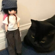 打得菜是猫在玩