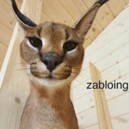 KabecinhaYT